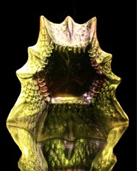 Featured Artist, Hilal Hibri